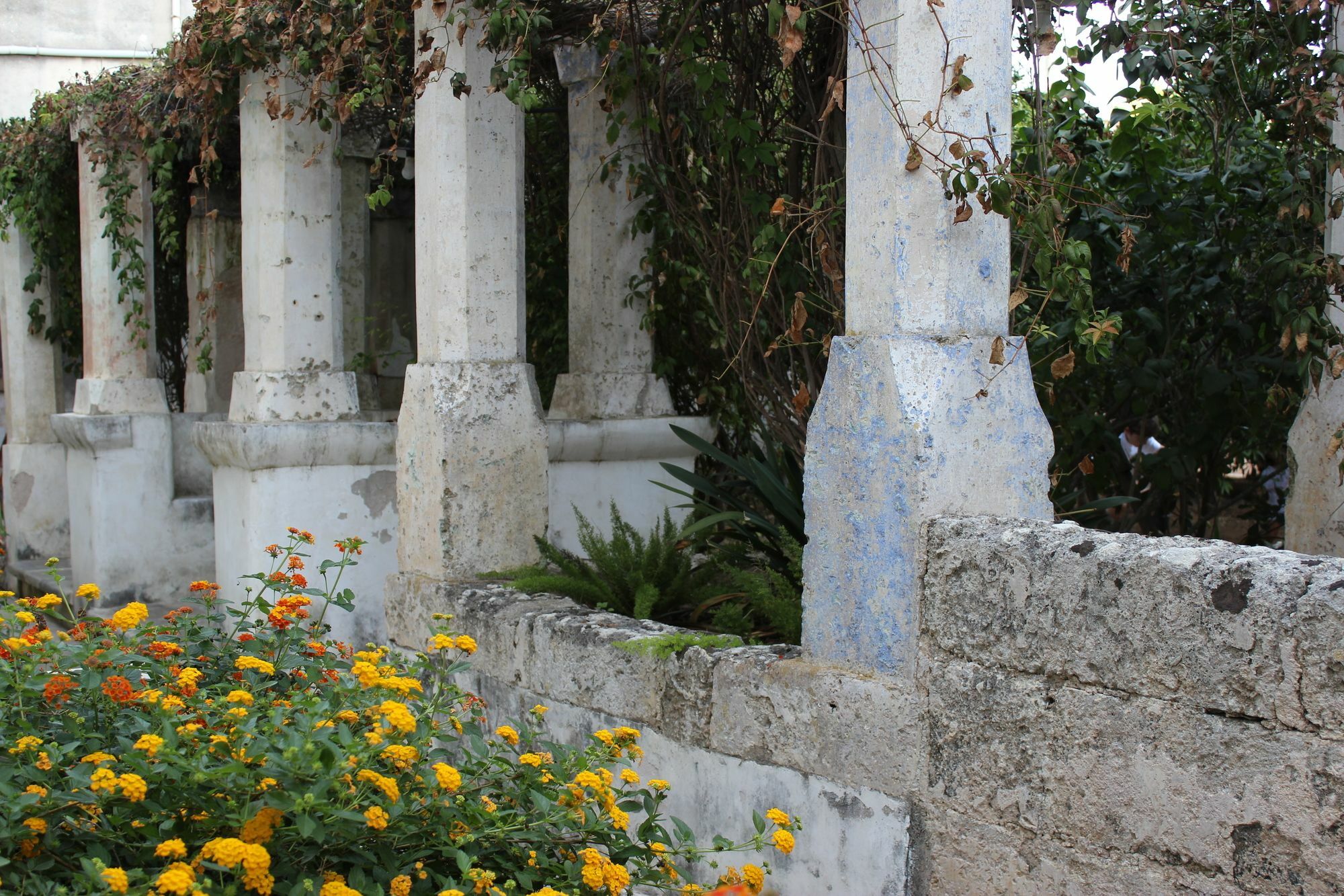 Masseria Pagani Nardò Екстериор снимка