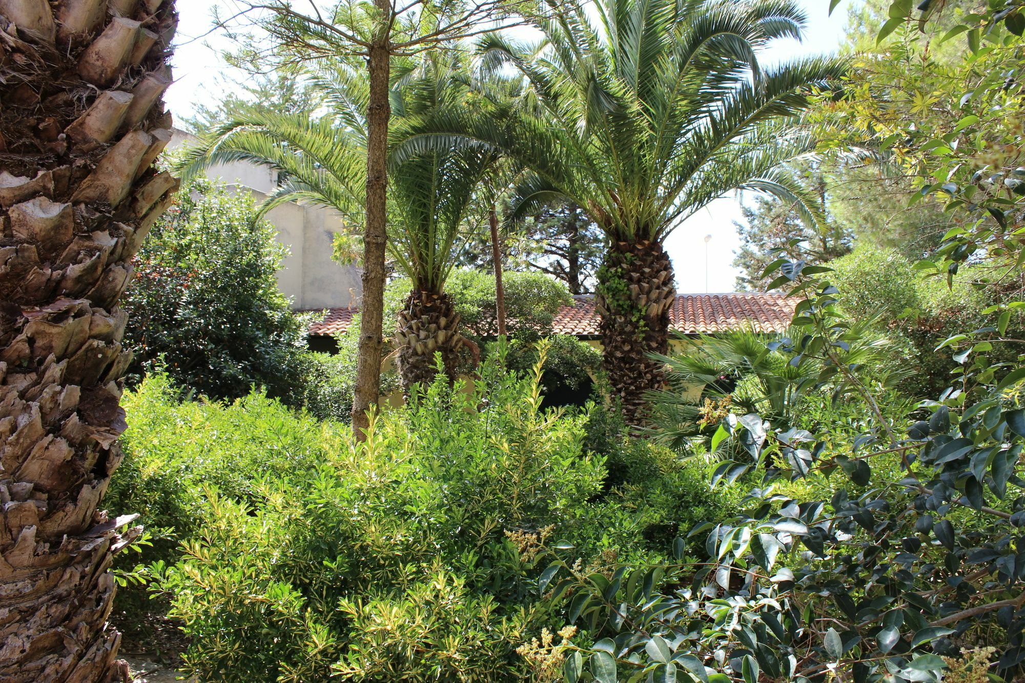Masseria Pagani Nardò Екстериор снимка